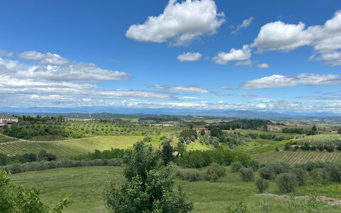 Belmonte Spereto Apartment With Pool, Montaione: Sky, Daytime, Natural Environment, Grass, Nature, Cloud, Horizon, Vegetation, Natural Landscape, Grassland