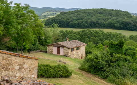 In the Heart of Chianti, Pool, Wifi, View - Lillia: Grass, Tree, House, Grassland, Rural Area, Cottage, Land Lot, Farmhouse, Roof