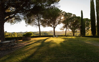 Green Hill Apartment In Tuscan Countryside