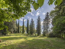 Cottage Monti Pet Friendly With Shared Pool