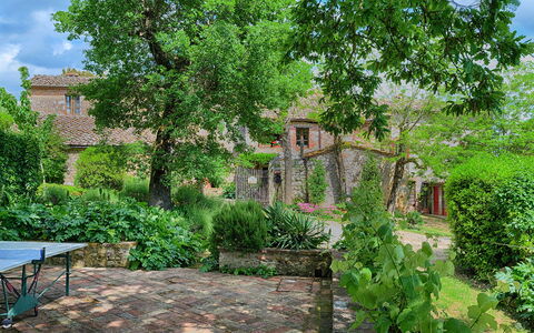 Podere Lorena, Charming Tuscan Farmhouse: Shrub, Garden, Backyard, Groundcover, Spring, Cottage, Landscaping, Brick, Yard