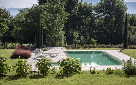 Villa Cortona: Eco-Sustainable Luxury Estate with: Shrub, Garden, Swimming Pool, Landscaping, Backyard, Shade, Lawn, Flagstone, Yard, Outdoor Furniture