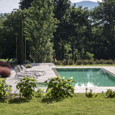Villa Cortona: Eco-Sustainable Luxury Estate with: Shrub, Garden, Swimming Pool, Landscaping, Backyard, Shade, Lawn, Flagstone, Yard, Outdoor Furniture