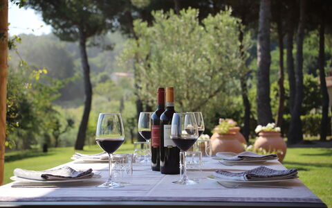Villa Petrosa: Your Private Escape Overlooking the: Furniture, Tableware, Table, Drinkware, Stemware, Outdoor Furniture, Wine Glass, Barware, Wine