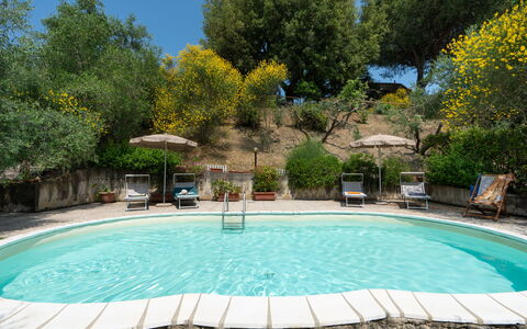 Casa Livia: Swimming Pool, Furniture, Outdoor Furniture, Chair, Resort, Umbrella, Shade, Outdoor Table, Garden, Backyard