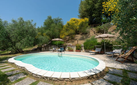Casa Livia: Swimming Pool, Outdoor Furniture, Furniture, Chair, Resort, Backyard, Shade, Garden, Eco Hotel, Landscaping
