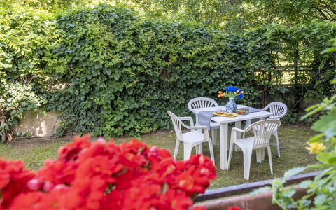 Suite Vogel: Leaf, Green, Shrub, Garden, Groundcover, Spring, Shade, Backyard, Yard, Landscaping