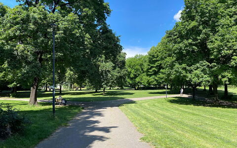 Suite Vogel: Daytime, Grass, Leaf, Tree, Natural Environment, Branch, Nature, Vegetation, Shrub, Public Space