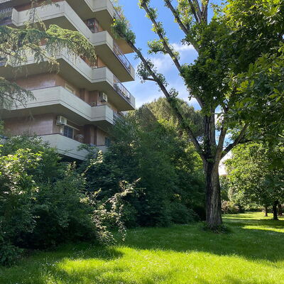 Suite Vogel: Vegetation, Shrub, Apartment, Garden, Condominium, Landscaping, Evergreen