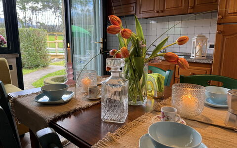 Green Hills 13: Tableware, Furniture, Serveware, Table, Drinkware, Dishware, Flowerpot, Chair, Food