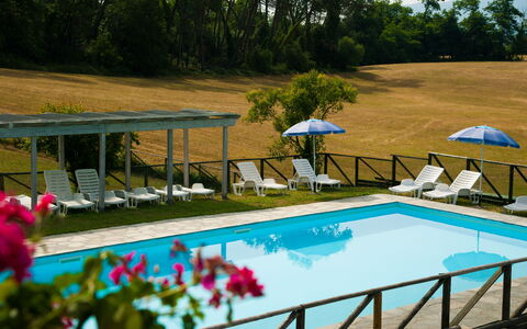 Green Hills 13: Swimming Pool, Outdoor Furniture, Furniture, Resort, Sunlounger, Leisure, Linens, Eco Hotel, Hotel, Umbrella