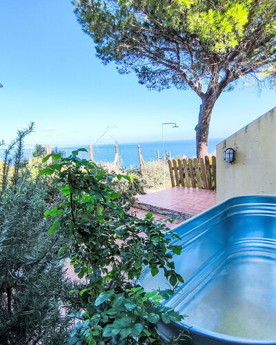 L'Aietta di Maciarello: Blue, Garden, Flowerpot, Shade, Landscaping, Backyard, Outdoor Furniture, Swimming Pool, Houseplant