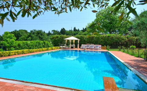 Villa Adriana: Swimming Pool, Resort, Leisure, Eco Hotel, Garden, Shade, Hacienda, Water Feature, Landscaping, Outdoor Furniture