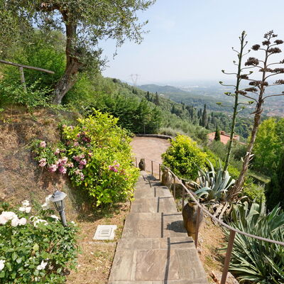 Uno Sguardo sul Mare: Vegetation, Shrub, Landscape, Plant Community, Garden, Groundcover, Walkway, Trail, Botanical Garden