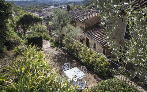 Il Canto Del Maggio: Vegetation, Shrub, House, Residential Area, Landscape, Rural Area, Roof, Spring, Garden