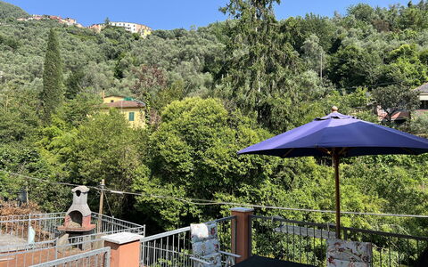 Anne-britt Home: Balcony, Fence, Shade, Eco Hotel, Porch, Hacienda, Flowerpot, Houseplant