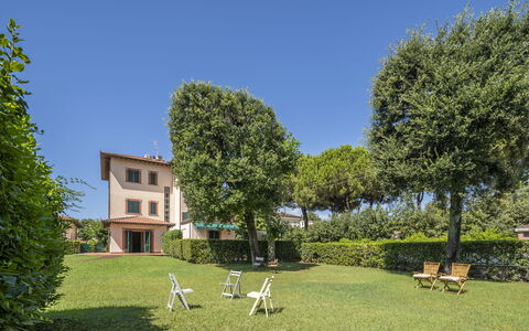 Attico Marino: Grass, Shrub, Home, Land Lot, Lawn, Garden, Estate, Yard, Landscaping, Hedge