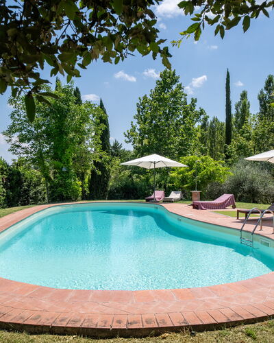Casa La Cedrina, Pool, Lornano: Blue, Swimming Pool, Garden, Shade, Outdoor Furniture, Landscaping, Hacienda, Estate, Eco Hotel, Yard