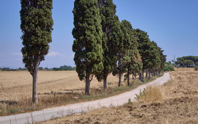 Accommodation:&nbsp;Appartamento Standard 649.3