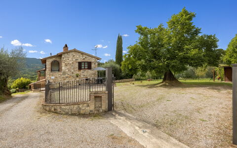 Oliveto Del Cantarello: Home, Cottage, Estate, Farmhouse, Village, Fence, Yard, Driveway, Villa, Home Fencing