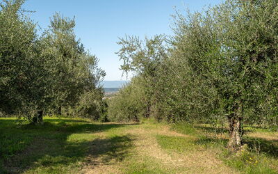 Villa Costa al Bagno