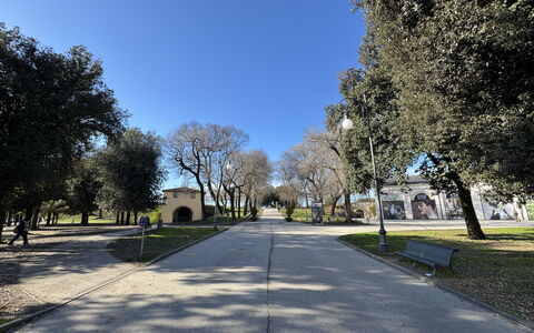 Casa Capolino: Tree, Grass, Branch, Road Surface, Public Space, Woody Plant, Shade, Park, Driveway, Sidewalk