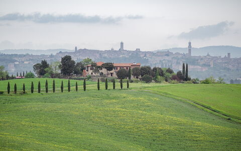 La Casina Honeymoon Cottage, Badia Agnano: Grass, Grassland, Horizon, Landscape, Plain, Hill, Land Lot, Meadow, Field, Rural Area