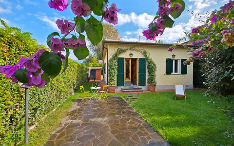 Villetta Tonfano: Shrub, Garden, Landscaping, Yard, Backyard, Lawn, Shade, Flowerpot, Hacienda