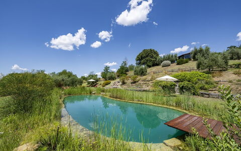 Aqua Bio Retreat: Blue, Natural Landscape, Pond, Garden, Swimming Pool, Reflection, Landscaping, Reservoir, Eco Hotel