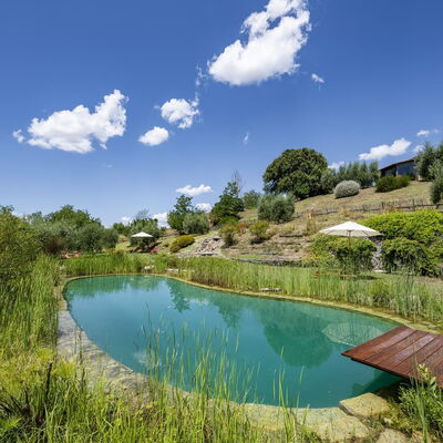 Aqua Bio Retreat: Blue, Natural Landscape, Pond, Garden, Swimming Pool, Reflection, Landscaping, Reservoir, Eco Hotel