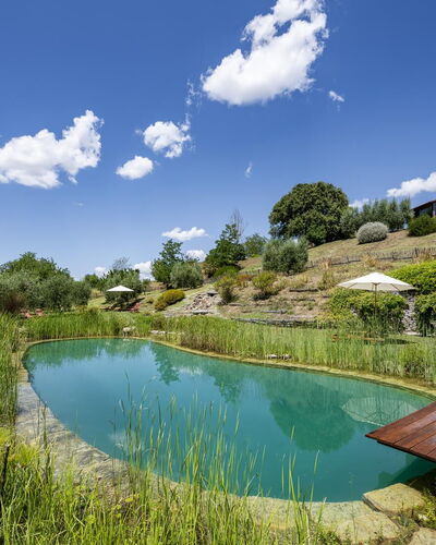 Aqua Bio Retreat: Blue, Natural Landscape, Pond, Garden, Swimming Pool, Reflection, Landscaping, Reservoir, Eco Hotel