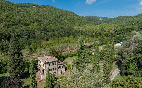 Mulino di Carpineto with Pool Gaiole in Chianti: Natural Environment, Vegetation, Home, House, Landscape, Rural Area, Shrub, Residential Area, Forest, Plant Community