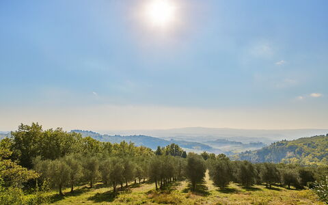 Novellina: Natural Landscape, Hill, Grassland, Ecoregion, Horizon, Landscape, Plain, Plant Community, Wilderness, Meadow