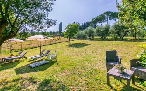 Podere la Botte, Pool, Lari: Grass, Shrub, Land Lot, Plain, Garden, Meadow, Lawn, Park, Pasture, Landscaping