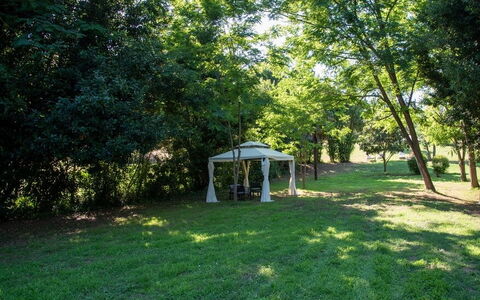 Podere la Botte, Pool, Lari: Tree, Grass, Leaf, Garden, Land Lot, Shade, Lawn, Sunlight, Park, Woodland