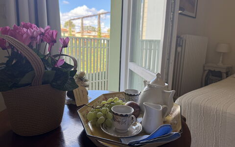 Liz: Interior Design, Furniture, Serveware, Room, Drinkware, Chair, Dishware, Tablecloth, Linens, Plate