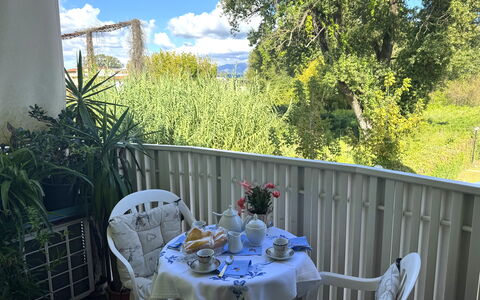 Liz: Furniture, Chair, Outdoor Furniture, Table, Outdoor Table, Balcony, Porch, Shade, Backyard, Kitchen & Dining Room Table