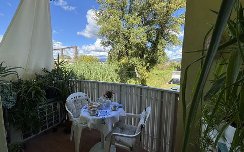 Liz: Furniture, Chair, Table, Outdoor Table, Outdoor Furniture, Kitchen & Dining Room Table, Shade, Balcony, Houseplant, Backyard