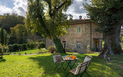 La Morella: House, Home, Shrub, Cottage, Estate, Garden, Land Lot, Rural Area, Farmhouse, Lawn