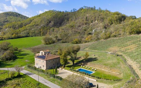 La Morella: Land Lot, Rural Area, Home, Cottage, Estate, Farmhouse, Garden, Lawn, Meadow, Swimming Pool