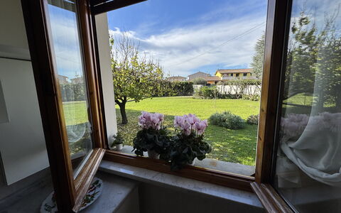 Villa Lory: Garden, Flowerpot, Houseplant, Landscaping, Yard, Daylighting, Balcony, Backyard, Floristry