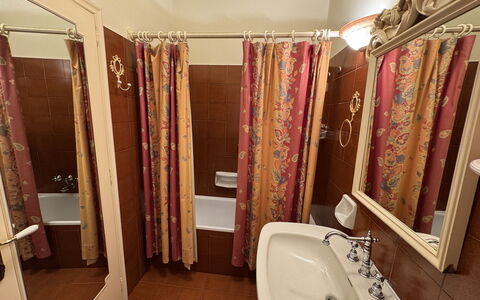 Casa Mia: Flooring, Wood, Floor, Plumbing Fixture, Interior Design, Brown, Bathroom Sink, Bathroom, Plumbing, Sink