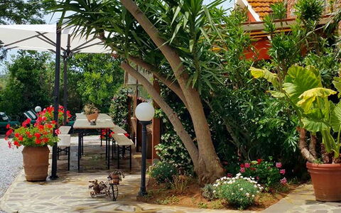 Suite Orchidea Seaside and Pool: Green, Flowerpot, Garden, Furniture, Shade, Outdoor Furniture, Backyard, Houseplant, Chair