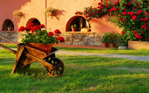 Appartamento Girasole Seaside and Pool: Garden, Landscaping, Yard, Flowerpot, Backyard, Hacienda, Houseplant