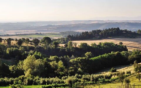 Casale Il Rondò, Private Pool, Città della Pieve: Tree, Natural Environment, Green, Natural Landscape, Vegetation, Hill, Ecoregion, Grassland, Landscape, Plain