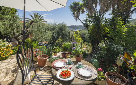 La Torre sul Ponte, Seaview, Garden: Vegetation, Flowerpot, Shrub, Garden, Plant Community, Houseplant, Landscaping, Outdoor Furniture, Resort