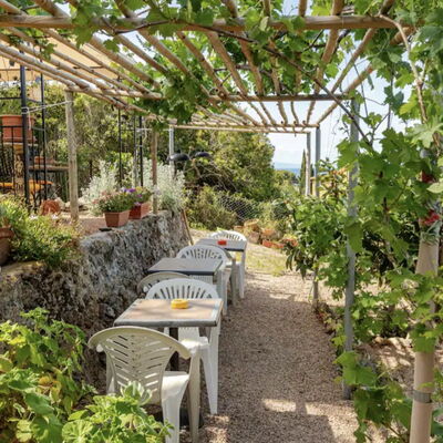 La Torre sul Ponte, Seaview, Garden: Shade, Garden, Agriculture, Plantation, Chair, Outdoor Furniture, Outdoor Structure, Outdoor Table
