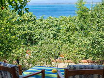 La Torre sul Ponte, Seaview, Garden