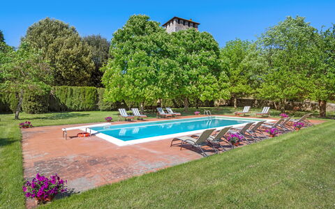 Medieval Castle Living: Vineyards, Swimming Pool &: Tree, Shrub, Garden, Lawn, Estate, Plantation, Swimming Pool, Park, Landscaping, Hacienda