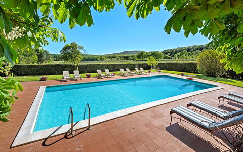 Medieval Castle Living: Vineyards, Swimming Pool &: Swimming Pool, Resort, Eco Hotel, Garden, Hacienda, Shade, Villa, Farmhouse, Water Feature, Landscaping